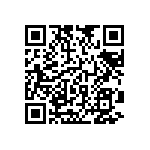 RNC55J2873BRRSL QRCode