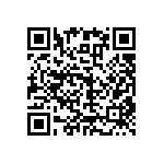 RNC55J2873FSBSL QRCode