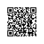 RNC55J2911BPBSL QRCode