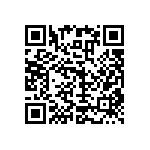 RNC55J2943BRBSL QRCode