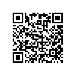 RNC55J3160FSRE6 QRCode