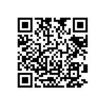 RNC55J3613BSBSL QRCode