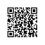 RNC55J3613BSRE6 QRCode