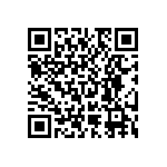 RNC55J4022FSBSL QRCode