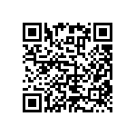 RNC55J5622FSRE6 QRCode