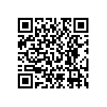 RNC55J6041BSBSL QRCode