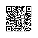 RNC55J6042BSRSL QRCode