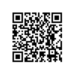 RNC55J6043BSBSL QRCode