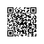 RNC55J6043FSBSL QRCode