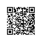 RNC60H1251FSRE6 QRCode