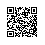 RNCF0402DKE53K6 QRCode