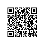 RNCF1206BKE30R9 QRCode