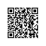 RNCF1206BKT9K31 QRCode