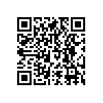 RNCF1206BTC13K3 QRCode