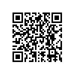 RNCF1206BTE312R QRCode