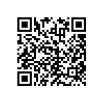 RNCF1206BTE953K QRCode