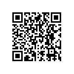 RNCF1206DTC392R QRCode