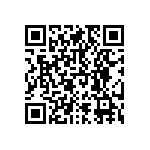 RNCF1206DTE17R4 QRCode