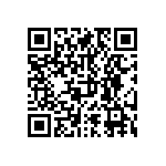 RNCF1210BTE13R0 QRCode