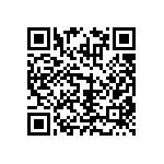 RNCF2512BKE102R QRCode