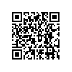 RNCF2512BKE30R1 QRCode