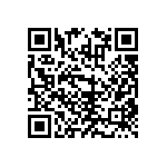 RNCF2512BTE13K0 QRCode