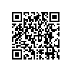 RNCF2512BTE383R QRCode