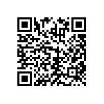 RNCF2512BTE392R QRCode