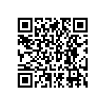 RNCF2512DKE301K QRCode