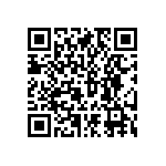 RNCF2512DKE30R1 QRCode