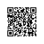 RNCF2512DTC93R1 QRCode