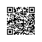 RNCF2512DTE16K9 QRCode