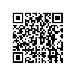 RNCF2512DTE1R13 QRCode