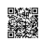 RNCF2512DTE29K4 QRCode