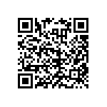 RNCS0402DTE30K1 QRCode