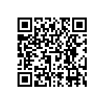 RNCS0402DTE3K30 QRCode