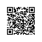 RNCS1206BKE13K3 QRCode