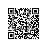 RNR55H1002BSRE6 QRCode