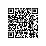 RNR55J1002DPBSL QRCode