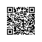 RNR55K2873FSBSL QRCode