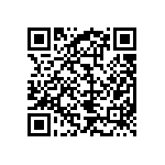 RPE5C2A7R0D2P1Z03B QRCode