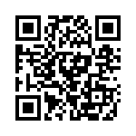 RT0105 QRCode