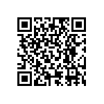 RT0201FRE0728KL QRCode