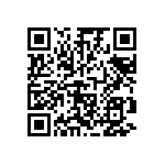 RT0402FRD0713R3L QRCode