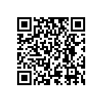 RT0603WRC07453RL QRCode