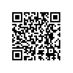 RT1206BRB0713KL QRCode