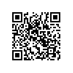 RT1206BRC0716RL QRCode