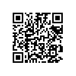 RT1206BRC0719K1L QRCode