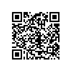 RT1206BRC0724K3L QRCode