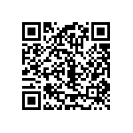 RT1206BRC07300RL QRCode